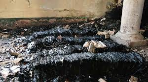 110 Year Old Madrassa Library Housing Over 4,500 Volumes Of Islamic Literature Burnt In Bihar