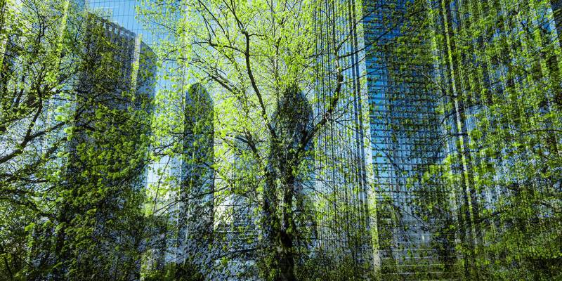Climate Must Drive Change at Development Banks