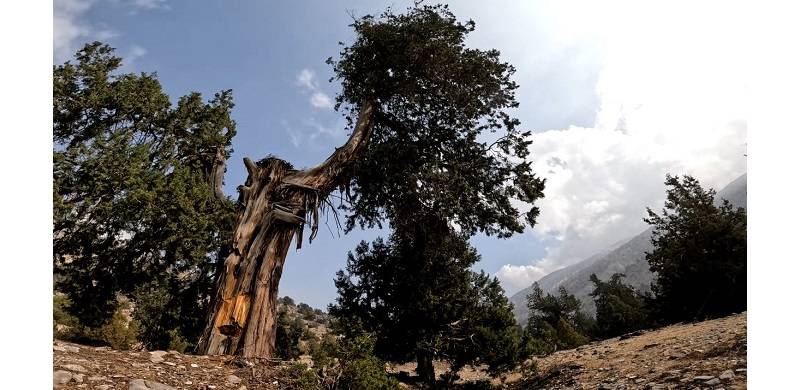 Nature's Hints In Kerala And Balochistan: Road To Extinction