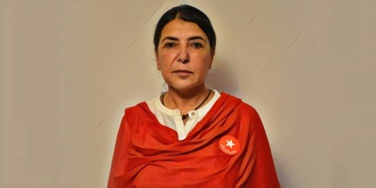 Civil Society Decries Islamabad Police For Arresting, Manhandling Activist Ismat Shahjahan