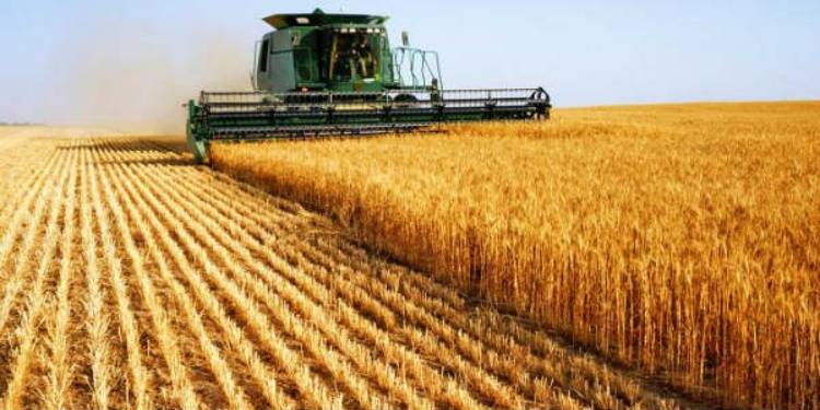 Army Seeks 1m Acres State Land In Punjab For Cultivation, LHC Informed