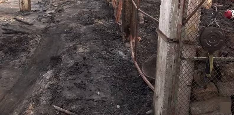 Peshawar's Cattle Market Burned To Ashes During PTI Protests
