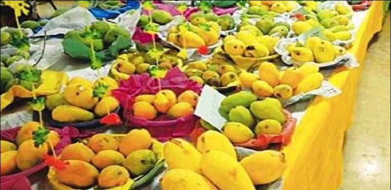 City Of Mangoes: Sindh's Mirpur Khas