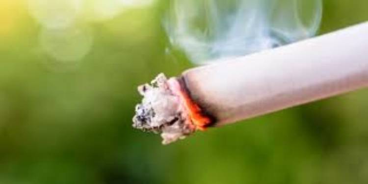 Tobacco's Detrimental Impact On Pakistan's Economy