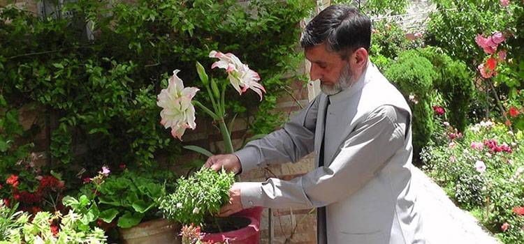 Chitral Man's Relentless Efforts Help Turn Barren Hill Into Lush Mini Forest