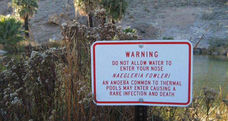 Climate Crisis And Disease: Warmer Temperatures Exacerbate Threat From N. fowleri