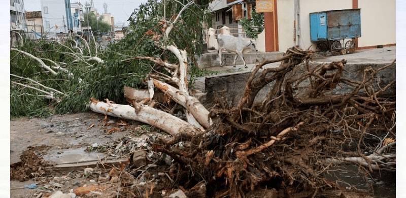 Heavy Rains, Winds Still Likely As Cyclone Biparjoy 'Dies Down'