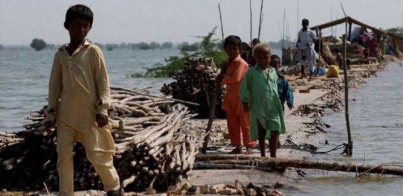 Rich countries' green dumping' on poorer, vulnerable countries: Adil Najam