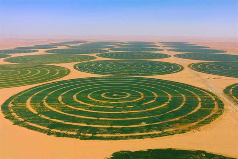 LIMS & Pakistan's Second Green Revolution: Lessons From Egypt