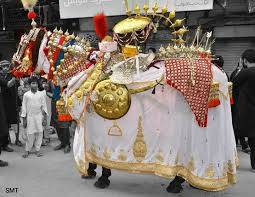 The Zuljanah And Its Traditional Route In Lahore