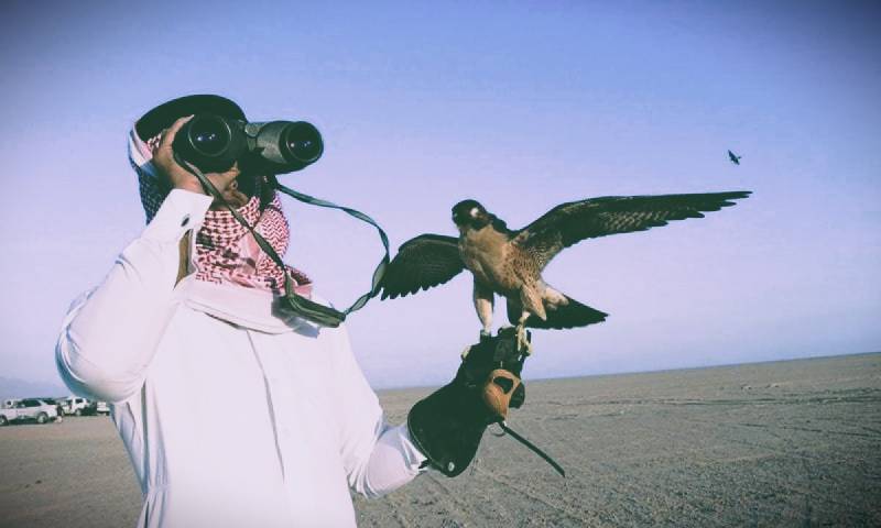 EXCLUSIVE: Dignitaries From UAE To Embark On Hunting Expedition In Pakistan This December 