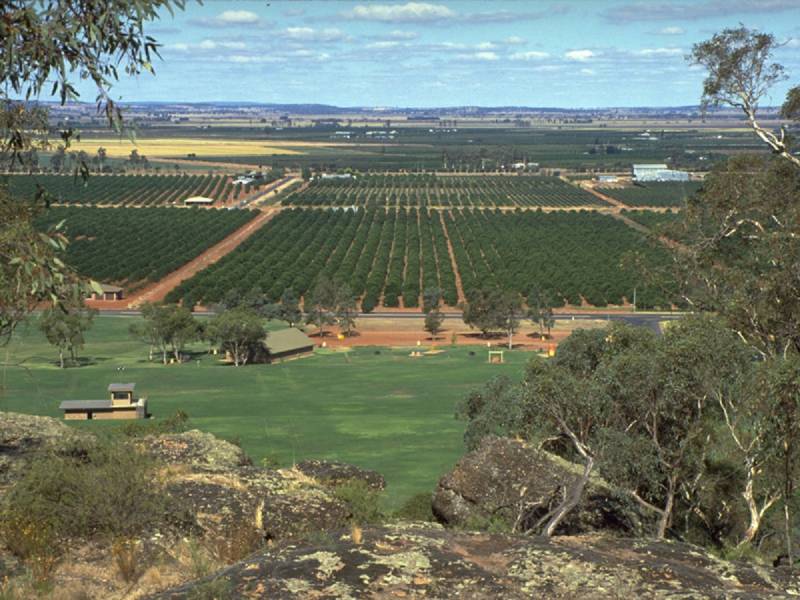 Outrage From The Outback: An Australian Visa Fiasco