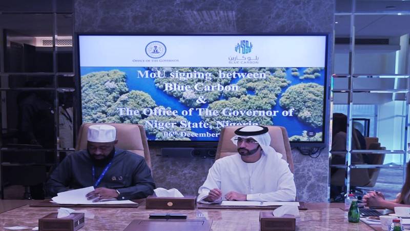 Blue Carbon Joins Forces With Niger State To Plant 1bn Trees