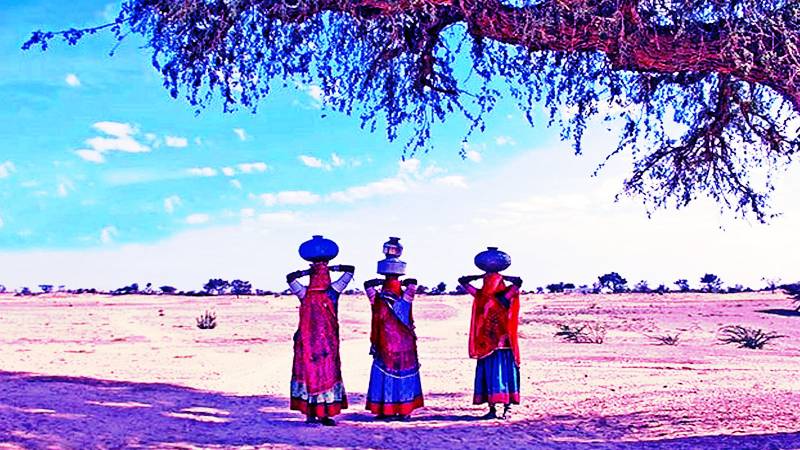 Beyond the Sands: Honouring the Life and Contributions of Mai Salimat Halepoto