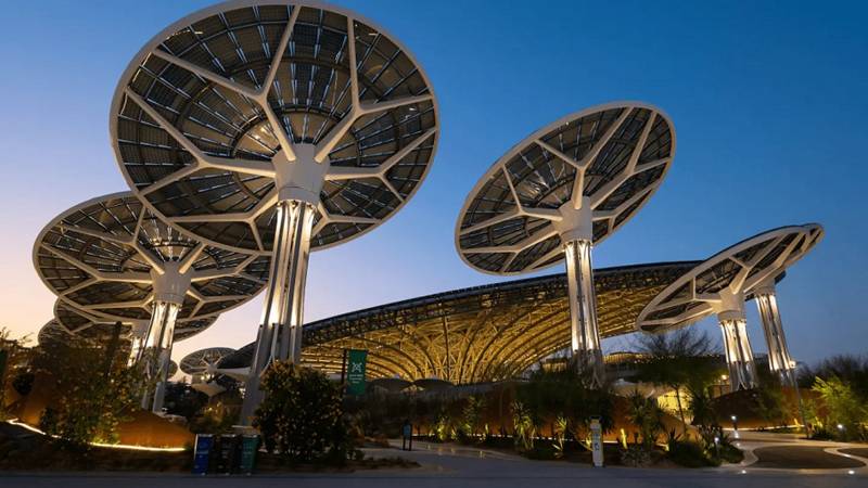 Decoding The Climate Crisis: Insights, Actions And Resilience