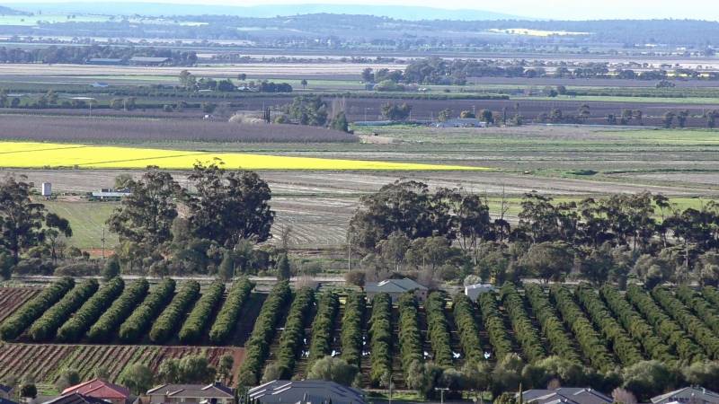 Migrants In A Remote Corner Of Australia