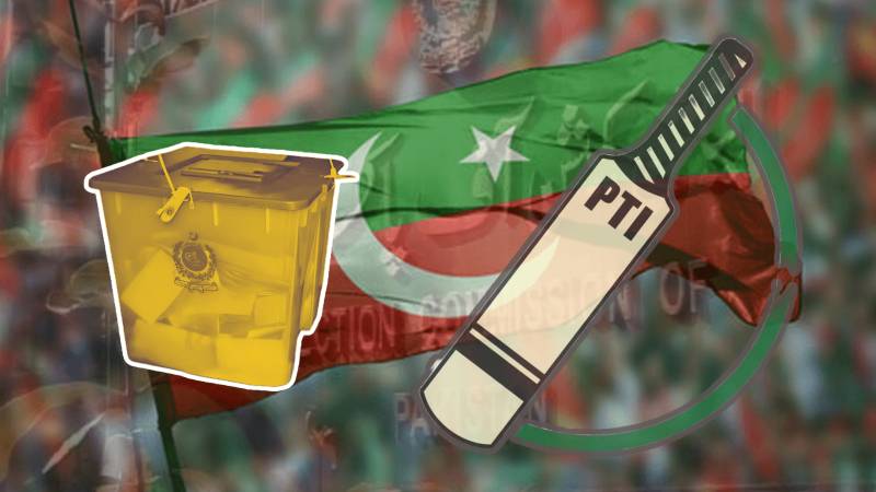 PTI Challenges ECP's Decision To Withdraw 'Bat' Symbol In Peshawar High Court