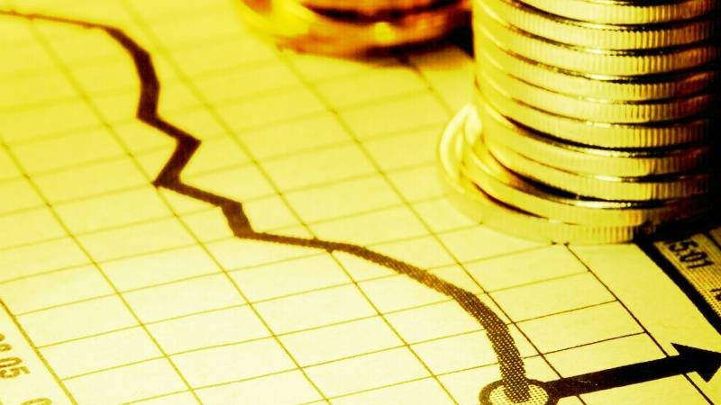 31 State-Owned Commercial Firms Suffered Rs730b In Losses To National Exchequer