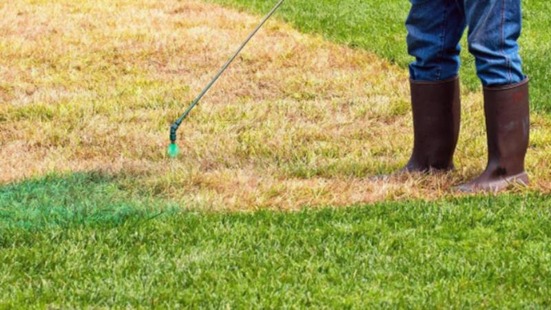 Painting The Grass Green To Make The System Look Better