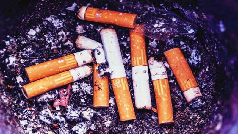 High FED On Cigarettes Demonstrates Positive Impact 
