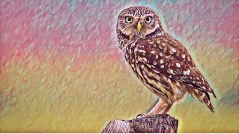 Identifying The Pillars Of Practical Wisdom