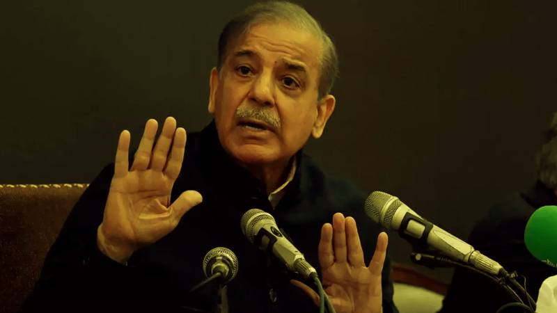 PM Shehbaz Steps Down As PML-N Chief