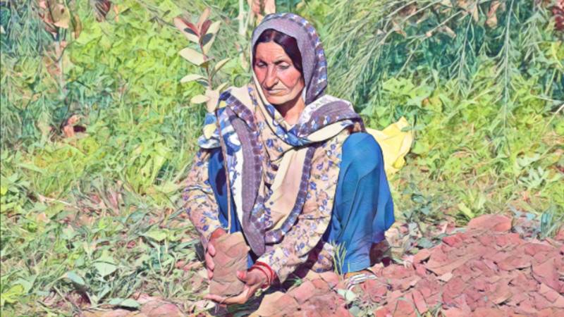 Pakistan, The Global Gender Gap And The Road To Equitable Outcomes