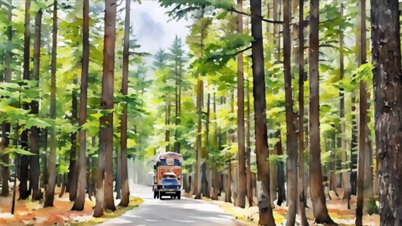 Religious Community Leader Steps Up His Fight As Authorities Fail Swat’s Environment