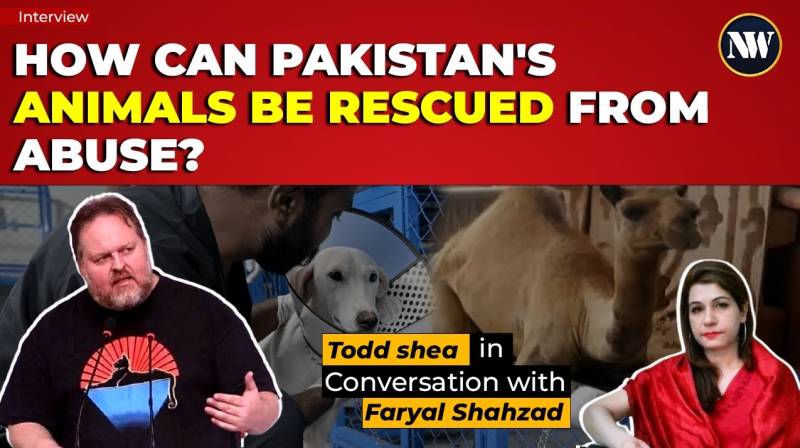 Animal Abuse in Pakistan | Urgent need of Govt Intervention| Violations in the Global Meat Industry
