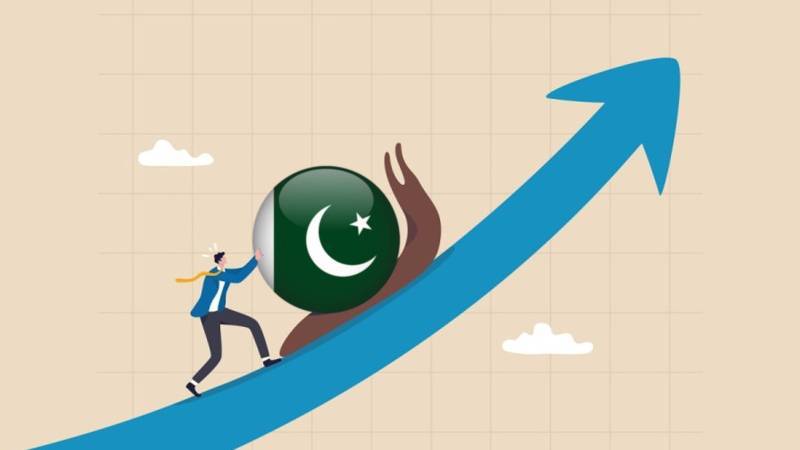 What 2025 Holds For Pakistan ?