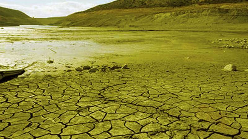 Climate Activism: A Facade Or A Force For Change?