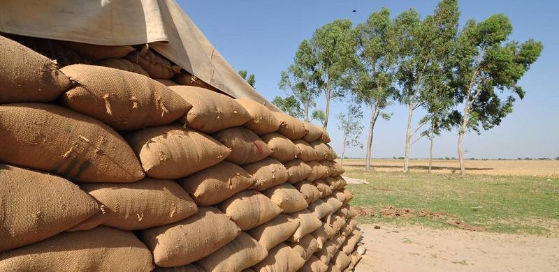 Addressing Pakistan's Wheat Crisis: Balancing Government Policies, Farmer Needs, And Food Security