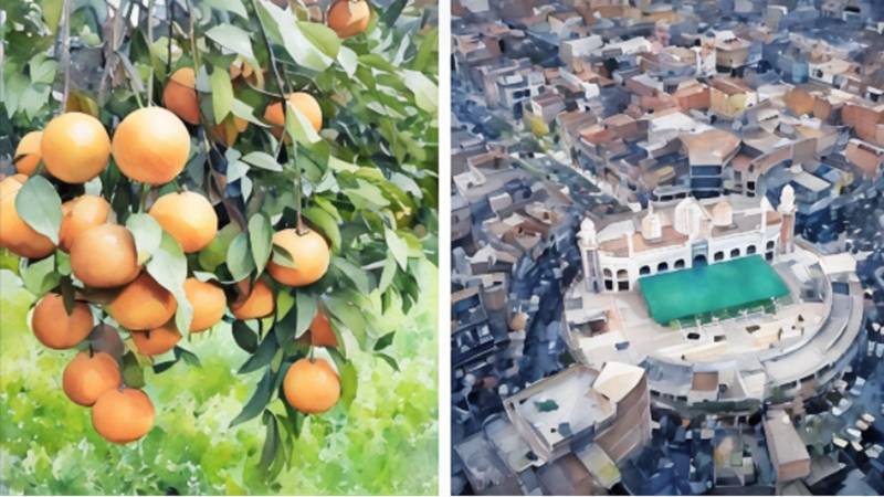 Experencing Sargodha As Pakistan's Very Own California