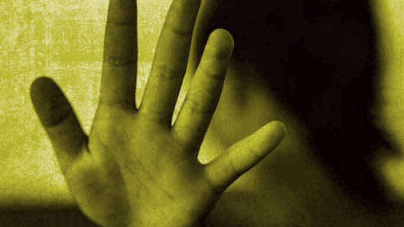 Anti-Rape Special Committee Discusses Proposed Amendments To The Anti-Rape (Investigation and Trial) Act, 2021
