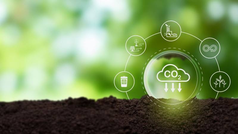 Experts Urge Strategic Carbon Taxation To Boost Climate Resilience