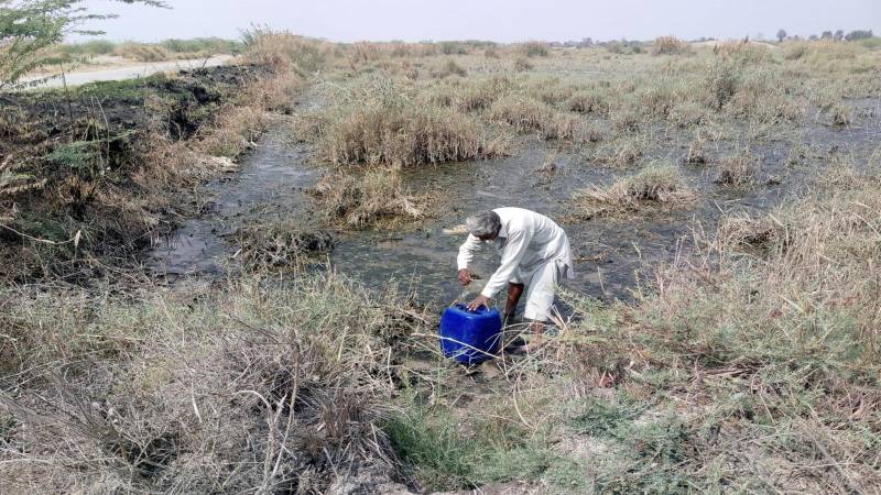 Khushpur Launches Restoration Initiative To Revive Climate-Damaged Farmland