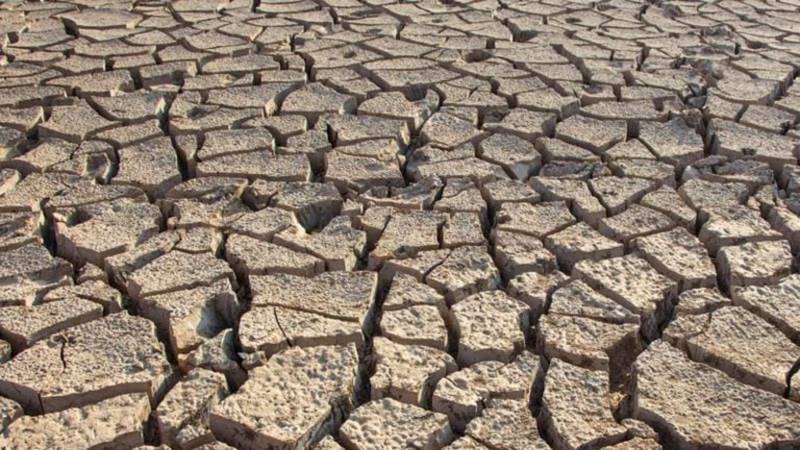 Pakistan’s Water Crisis: Drying Dams, Dying Crops, And The Fate Of The Indus Delta
