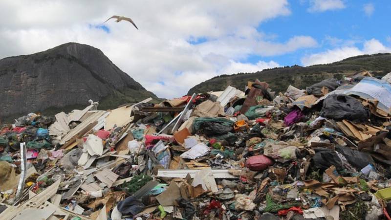 Turning Trash Into Treasure: Punjab’s Green Revolution At Mehmood Booti