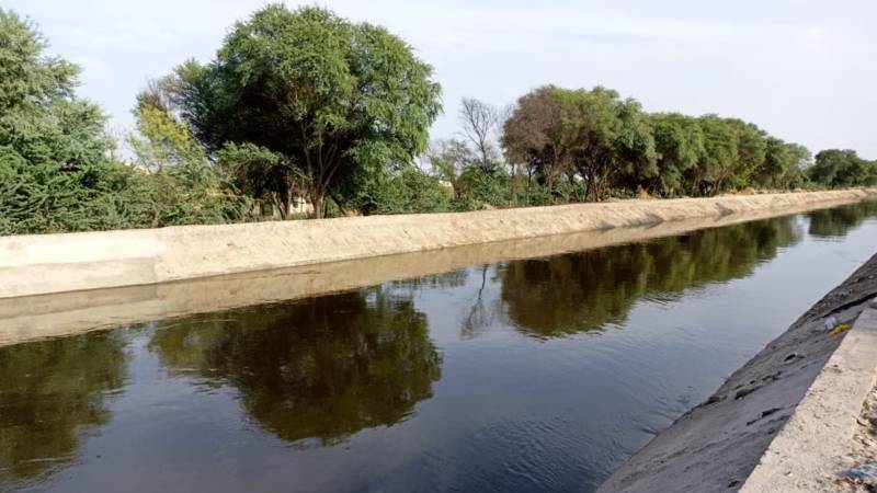 Rajasthan Canal's Struggle To Green The Desert: Satellite Analysis Exposes Harsh Realities