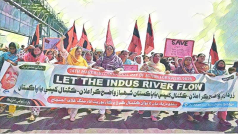 Why Silence And Linguistic Tribalism On The Cholistan Canals Harm All Groups