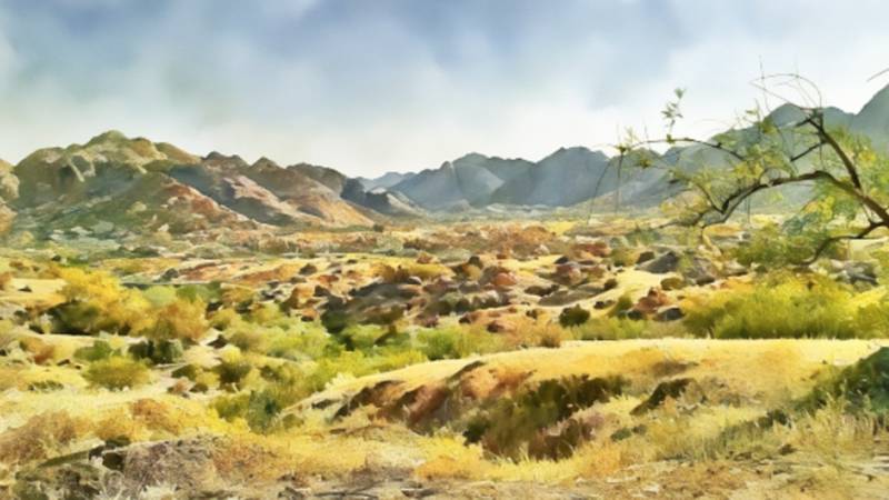 The Man Who Refused to Play Thar's Power Games: Arbab Maqbool Rahimoon's Enduring Legacy