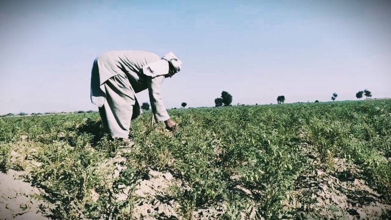 Beyond Cities, Pakistan’s Countryside Is Also Mostly Urbanised Needing Public Services