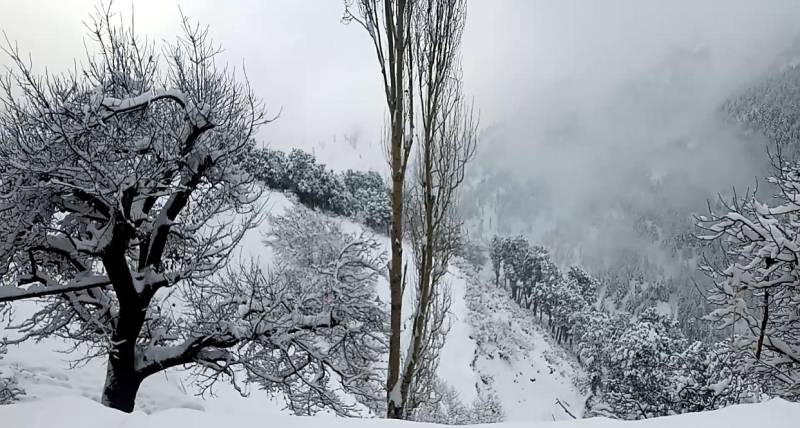 Hindu Kush Himalaya Snow Hits Record Low, Endangering Asia's Water Security 