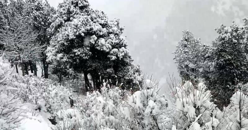 Hindu Kush Himalaya Snow Hits Record Low, Endangering Asia's Water Security 