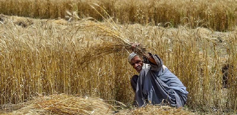 From Fields To Factories: Falling Crop Prices, Declining Inflation, And Capital Accumulation In Pakistan