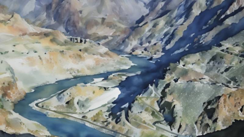 Beyond The Line Of Control: Geopolitical Fallout From South Asia's Hydro-Politics