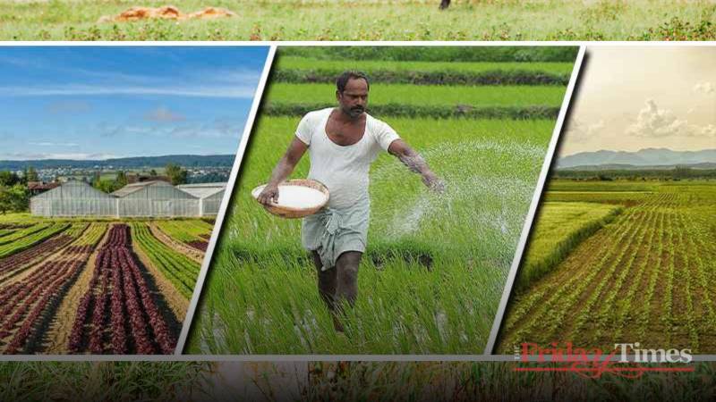 A Perfect Storm: The Collapse Of Pakistan’s Crop Production 