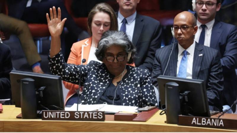 Vetoed Lives: How The US And Others Enabled Gaza's Genocide