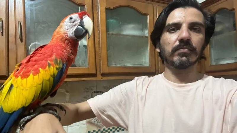 FIA Freezes Bank Accounts Linked To Asad Ali Toor Over Parrot Purchases