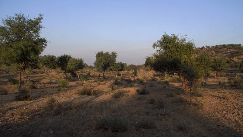 Tharparkar Police Launch Crackdown On Illegal Cultivation Of Grazing Lands